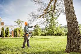 Best Commercial Tree Services  in Maryville, TN